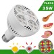BOMBILLA LED PAR30 35W E27 LUZ NEODIMIO 2700K