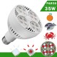 BOMBILLA LED PAR30 35W E27 LUZ NEODIMIO 6000K