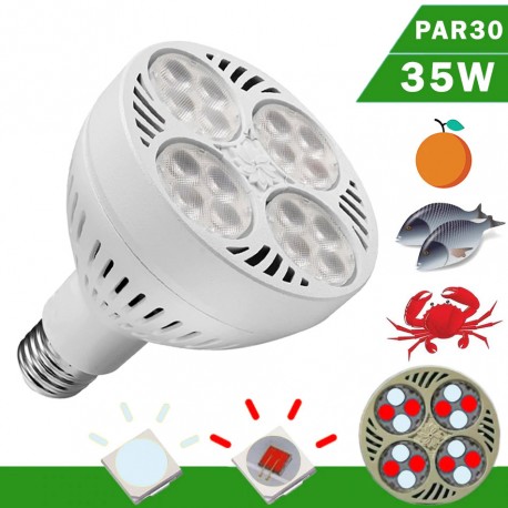 BOMBILLA LED PAR30 35W E27 LUZ NEODIMIO 6000K